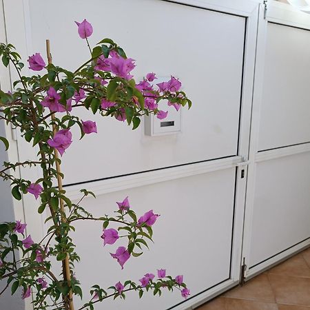 Apartman Dani Zadar Exterior photo