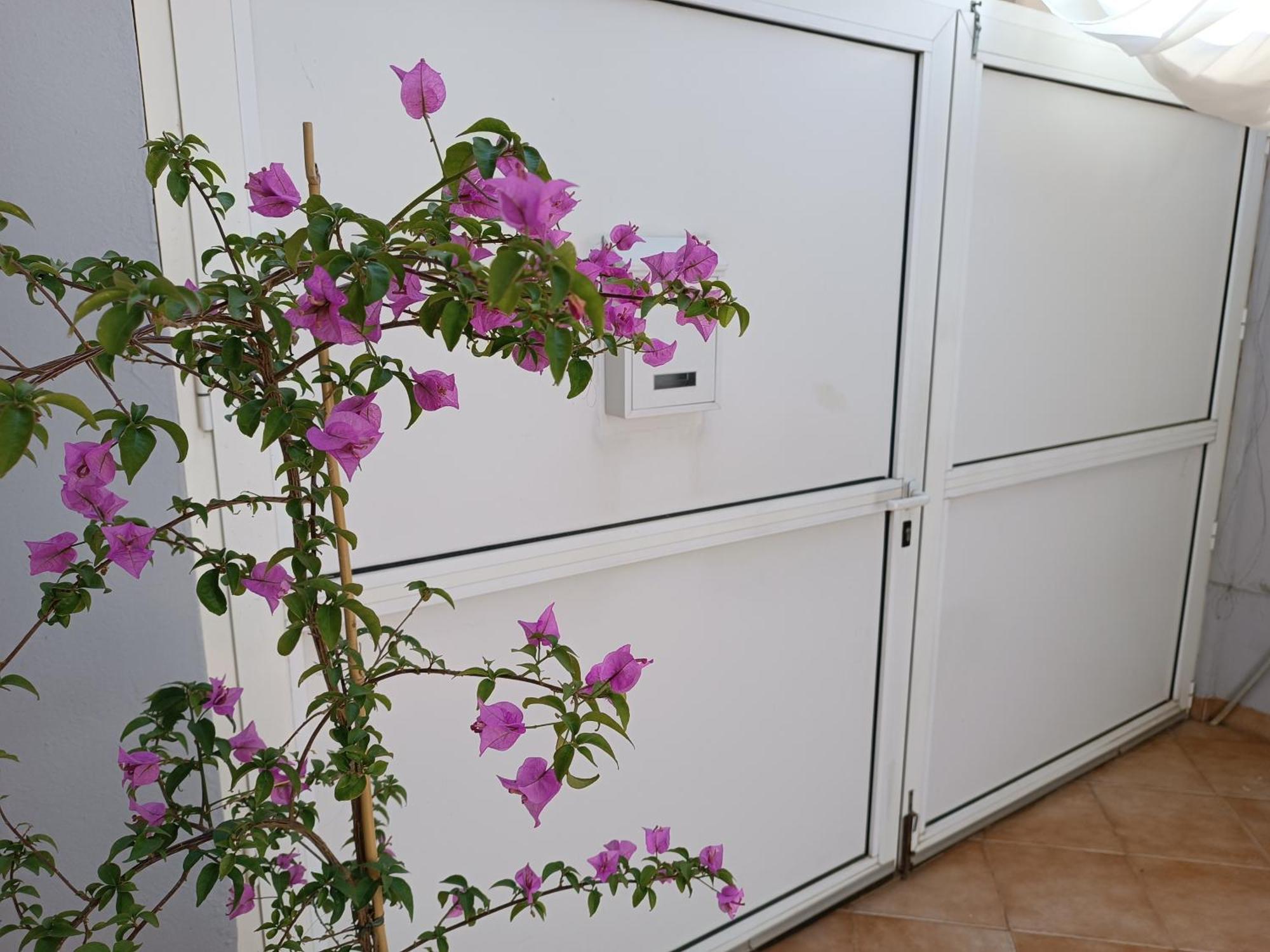 Apartman Dani Zadar Exterior photo